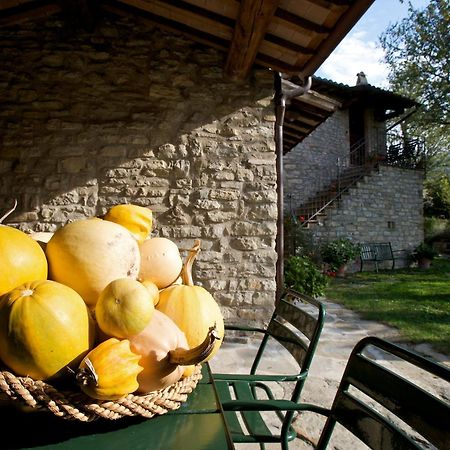 Brigolante Guest Apartments Асизи Стая снимка